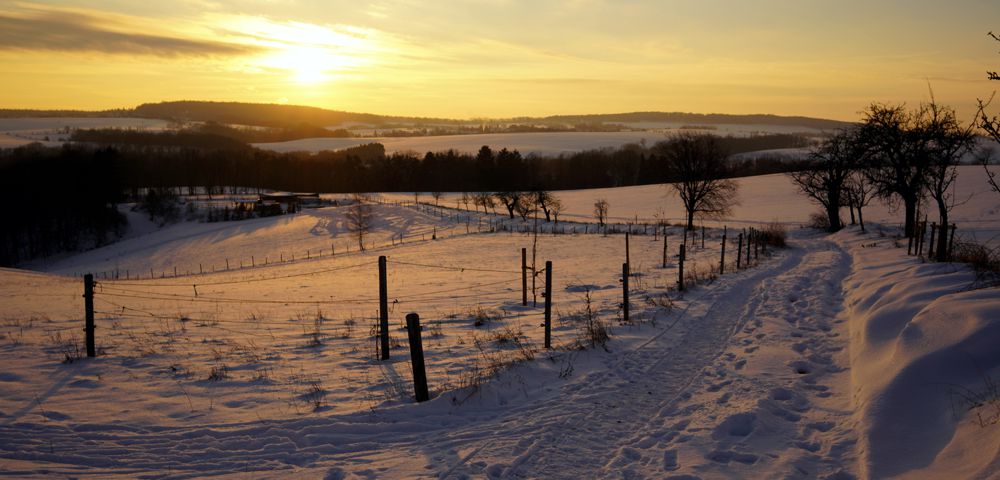 Sonnenuntergang über dem Tharandter Wald.